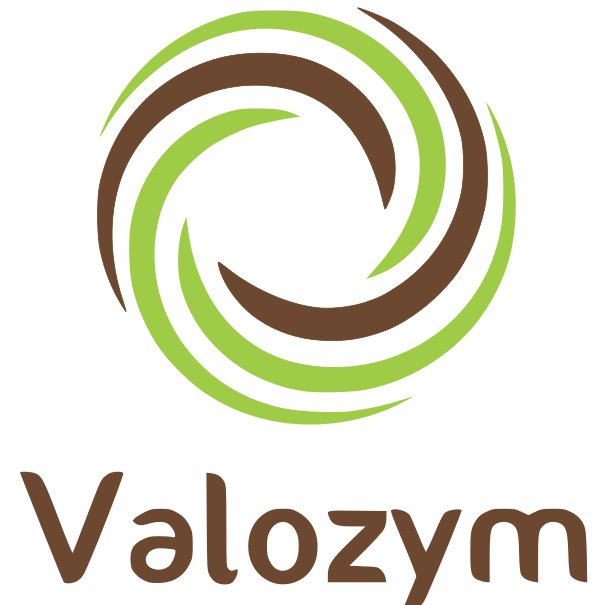 Valozym